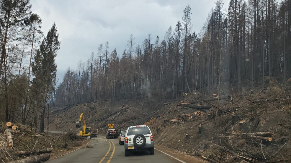 Five Years After the Flames: Archie Creek Fire’s Enduring Mark on Glide