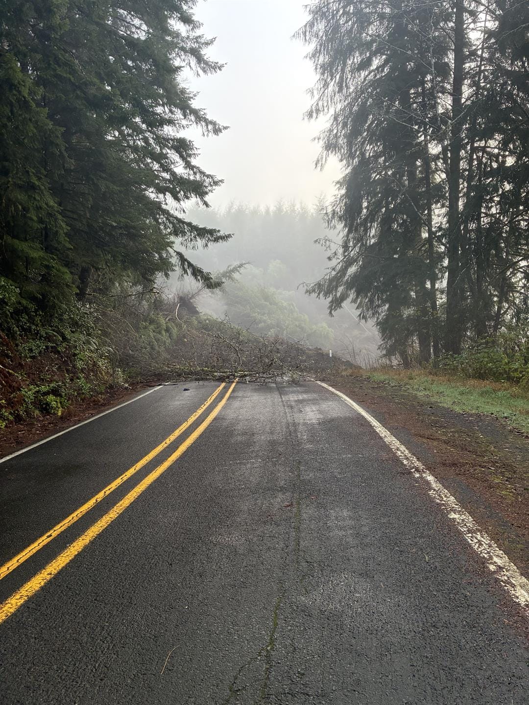Travel Alert for Drivers Heading North: OR 229 Closed in Lincoln County Due to Landslide