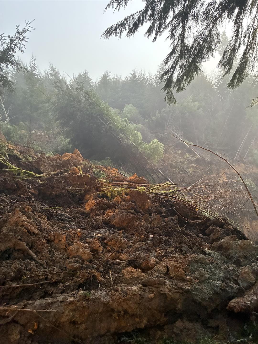 Travel Alert for Drivers Heading North: OR 229 Closed in Lincoln County Due to Landslide