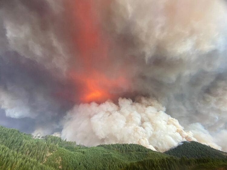 Five Years After the Flames: Archie Creek Fire’s Enduring Mark on Glide