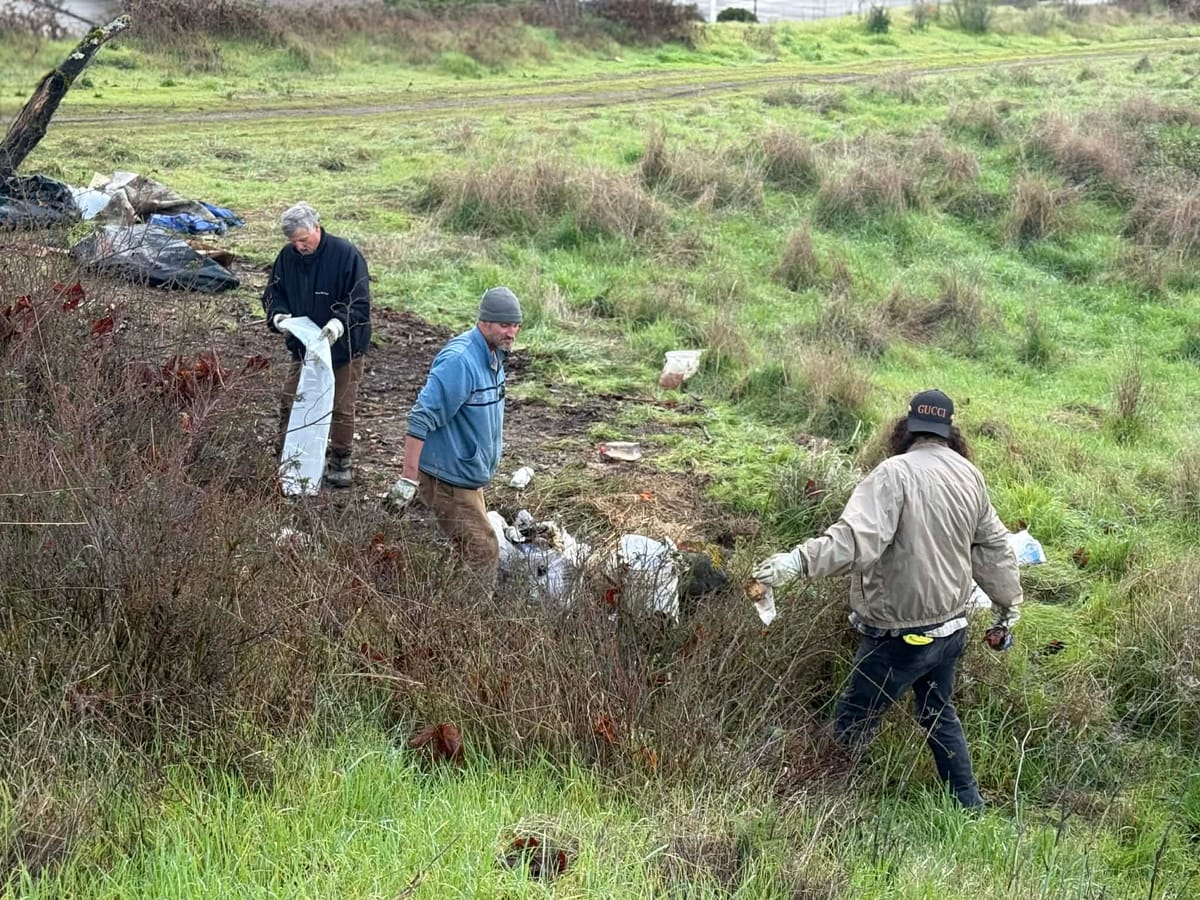 Three-Day Cleanup Restores Daly Property After Nuisance Notice