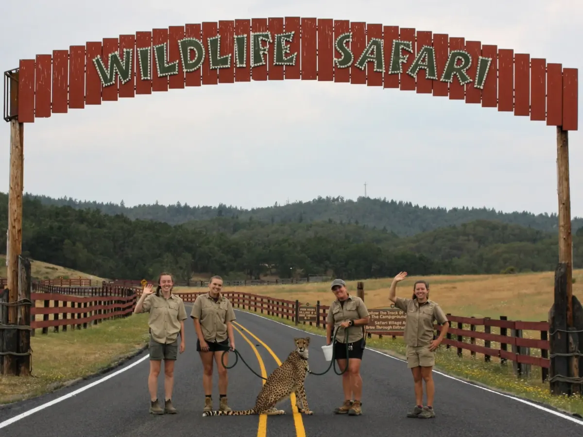 January Happenings at Wildlife Safari