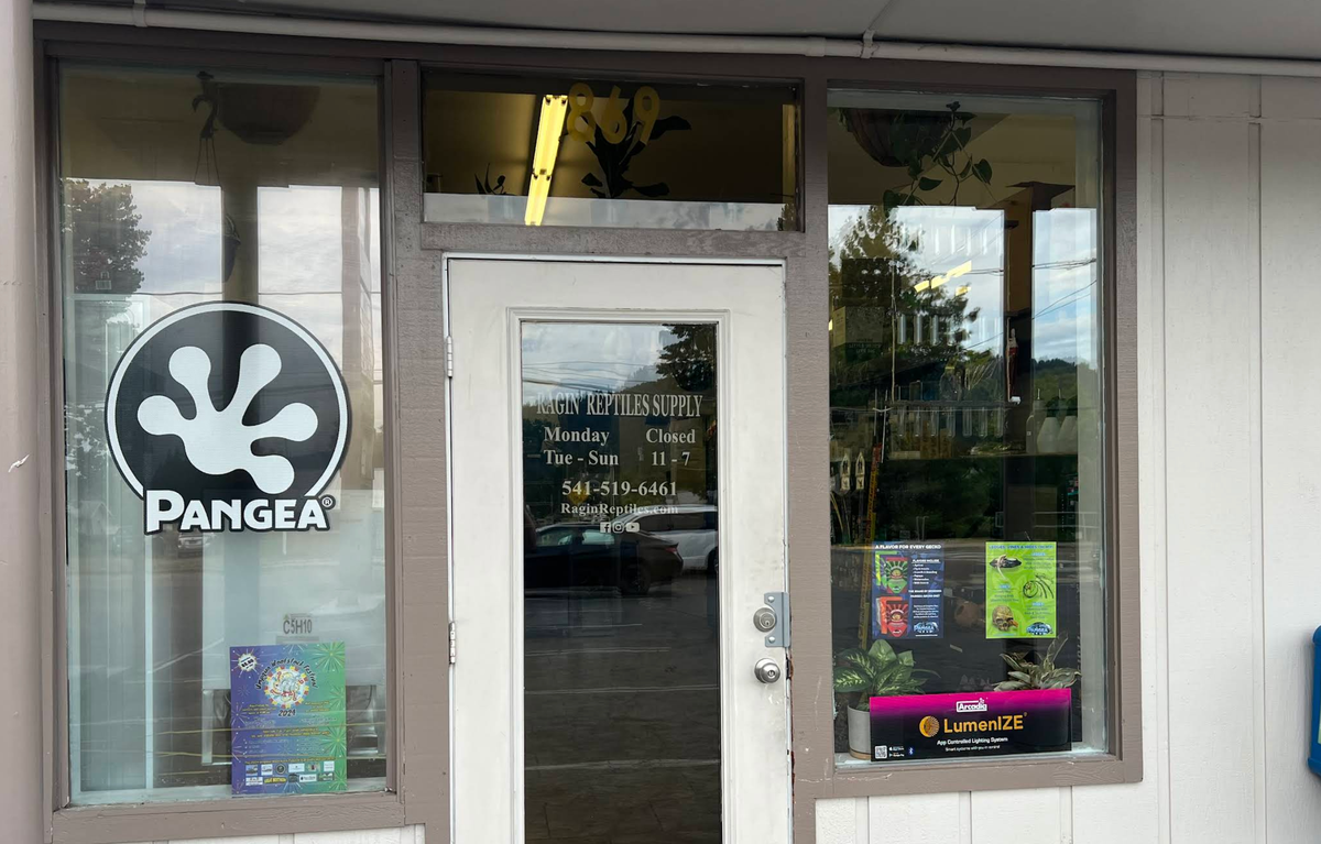 Sutherlin-Based Ragin’ Reptiles Supply Expanding to Roseburg with Second Storefront