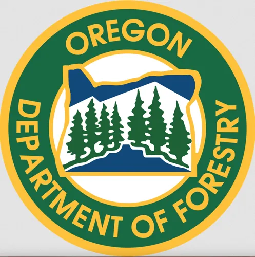 Storms Damage Trails and Recreation Areas Across Oregon State Forests
